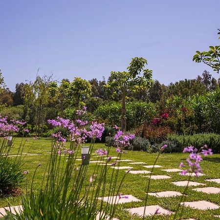 Mear Holiday Homes - Cretan Summer Getaways Kountoura Selino Luaran gambar