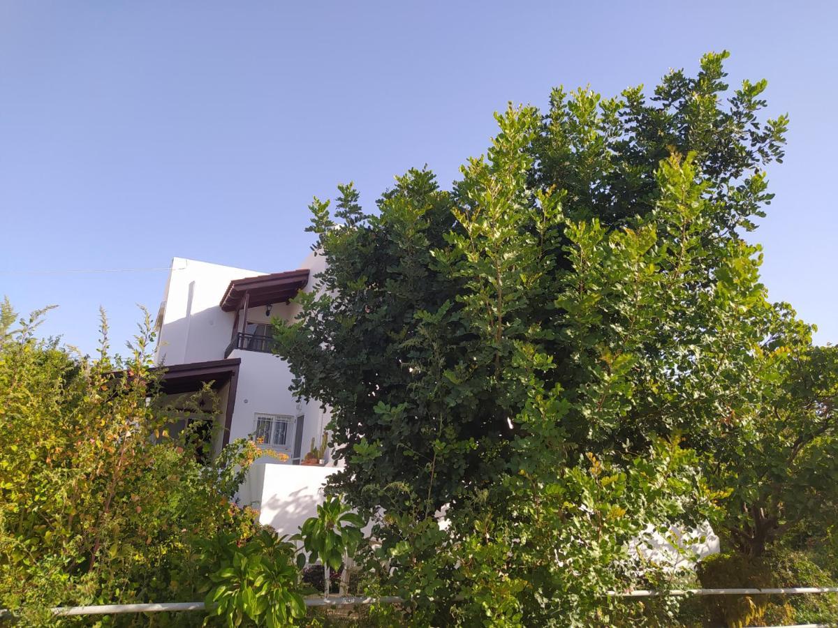Mear Holiday Homes - Cretan Summer Getaways Kountoura Selino Luaran gambar