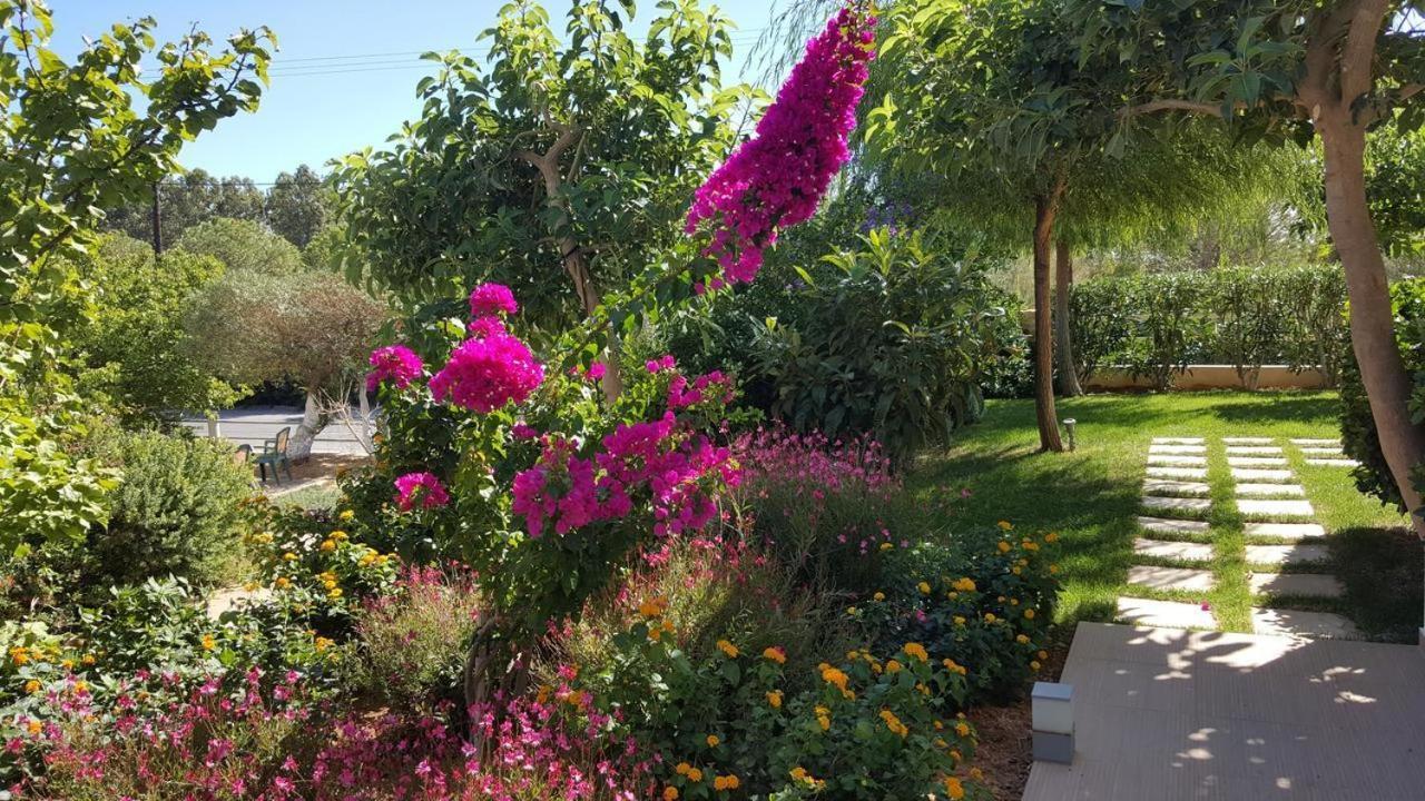 Mear Holiday Homes - Cretan Summer Getaways Kountoura Selino Luaran gambar